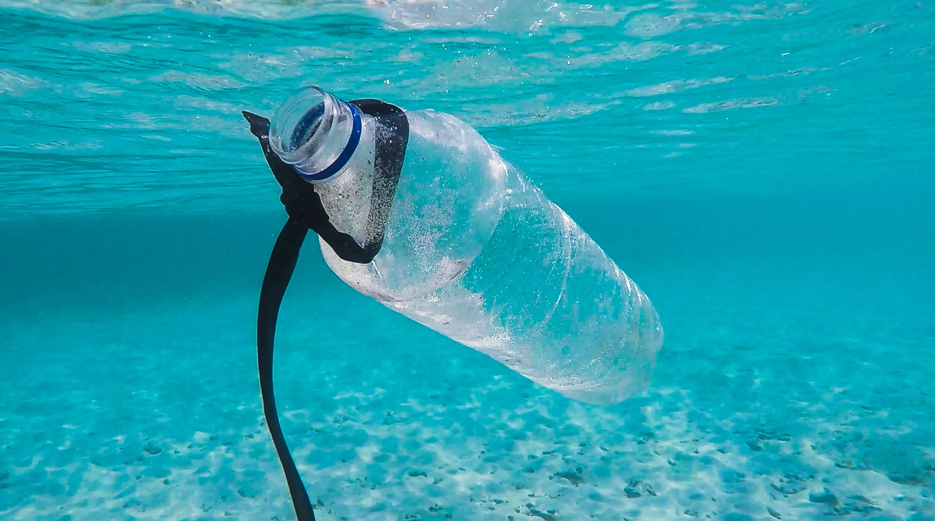 sargasso-Reclamation-ocean-CleanUp